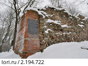 У развалин Гдовской крепости (2010 год). Стоковое фото, фотограф Виктор Карасев / Фотобанк Лори