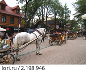 Вереница конных повозок  в Закопане (2010 год). Редакционное фото, фотограф Ирина Борсученко / Фотобанк Лори
