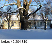 Село Михайловское, дом-музей А.С. Пушкина (2009 год). Редакционное фото, фотограф Олег Зоркий / Фотобанк Лори