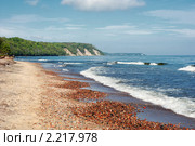 Берег Балтийского моря. Стоковое фото, фотограф Сергей Куров / Фотобанк Лори