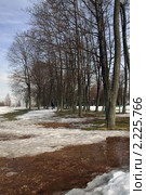 Весенний парк (2010 год). Стоковое фото, фотограф Самойлова Екатерина / Фотобанк Лори