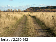 Дорога в поле. Стоковое фото, фотограф Константин Безденежных / Фотобанк Лори