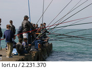 Ловля барабули (2004 год). Редакционное фото, фотограф Сергей Медведенко / Фотобанк Лори