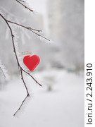Сердце. Стоковое фото, фотограф Новикова Екатерина / Фотобанк Лори