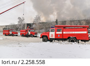 Пожарные автомобили  на базе ЗиЛ (2010 год). Редакционное фото, фотограф Алёшина Оксана / Фотобанк Лори