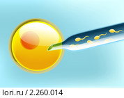 Экстракорпоральное оплодотворение. Стоковая иллюстрация, иллюстратор Анастасия Некрасова / Фотобанк Лори