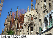 Саграда Фамилия, Барселона (2008 год). Стоковое фото, фотограф Татьяна Крамаревская / Фотобанк Лори