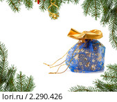 Новогодний подарок. Стоковое фото, фотограф Литова Наталья / Фотобанк Лори