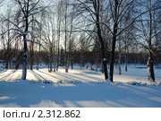 Солнечно. Стоковое фото, фотограф Барская Елена Николаевна / Фотобанк Лори