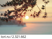 Зимний пейзаж. Закат солнца. Стоковое фото, фотограф Михаил Митин / Фотобанк Лори