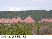 Горы, поросшие лесом, с осыпями красной породы, БАМ. Стоковое фото, фотограф Владимир Горощенко / Фотобанк Лори