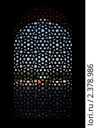 Вид сквозь резную каменную решётку окна в башне Хумаюн (Humayun's Tomb), Дели, Индия. Стоковое фото, фотограф Дмитрий Рухленко / Фотобанк Лори