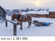 Лошадь, запряженная в сани-розвальни. Стоковое фото, фотограф Ирина Шалимова / Фотобанк Лори