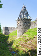 Невицкий замок, Украина (2010 год). Стоковое фото, фотограф Юрий Брыкайло / Фотобанк Лори