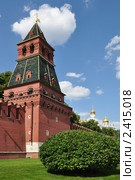 Благовещенская башня Московского Кремля. Стоковое фото, фотограф Panitchkina Natalia / Фотобанк Лори