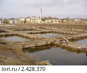 Саки, Восточный лечебный водоем Сакского озера, Сакская ГГРЭС (2011 год). Стоковое фото, фотограф Анна Мартынова / Фотобанк Лори