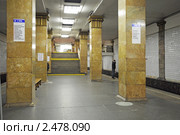 Станция метро "Парк культуры" в Москве (2011 год). Редакционное фото, фотограф Владимир Горощенко / Фотобанк Лори