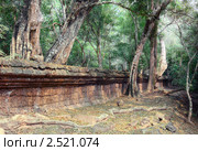 Храмовый комплекс Ангкор Ват, Камбоджа (2011 год). Стоковое фото, фотограф Виктор Застольский / Фотобанк Лори