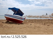 Тунис (2011 год). Редакционное фото, фотограф Некрасов Андрей / Фотобанк Лори