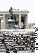 Достоевский и голуби (2011 год). Редакционное фото, фотограф Зобков Юрий / Фотобанк Лори