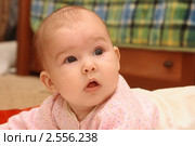 Полугодовалый малыш. Стоковое фото, фотограф Григорий Писоцкий / Фотобанк Лори