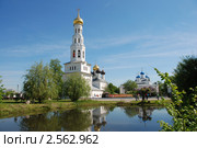 Храмовый комплекс в Завидово. Тверская обл., Конаковский р-н, с. Завидово (2010 год). Стоковое фото, фотограф lana1501 / Фотобанк Лори