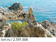 Коста Брава. Морской пейзаж. Испания (2011 год). Стоковое фото, фотограф E. O. / Фотобанк Лори