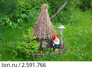 Домик гномика, ландшафтный дизайн (2011 год). Редакционное фото, фотограф макаров виктор / Фотобанк Лори