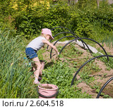 Девочка пропалывает сорняки на грядке с огурцами. Стоковое фото, фотограф Владимир Чинин / Фотобанк Лори