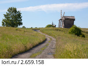 Остров Кижи. Летний пейзаж с дорогой к часовне Спаса Нерукотворного и ветряной мельницей (2011 год). Редакционное фото, фотограф Ольга Липунова / Фотобанк Лори