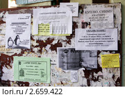 Доска объявлений у подъезда (2011 год). Редакционное фото, фотограф ElenArt / Фотобанк Лори