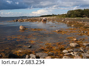 Каменистое побережье Белого моря. Стоковое фото, фотограф Родион Власов / Фотобанк Лори