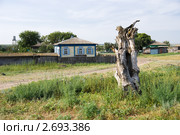 В станице Еланской Ростовской области. Стоковое фото, фотограф Борис Панасюк / Фотобанк Лори