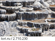Диснейленд, ландшафтный дизайн (2011 год). Редакционное фото, фотограф Parmenov Pavel / Фотобанк Лори