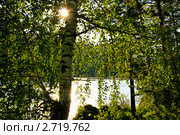 Вечер на берегу Катуни. Стоковое фото, фотограф Виктор Ковалев / Фотобанк Лори
