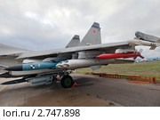 Выставка боевого вооружения многоцелевого истребителя МИГ-35 на авиасалоне МАКС 2011, Жуковский, Россия. Редакционное фото, фотограф Николай Винокуров / Фотобанк Лори