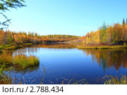 Золотая осень на Ямале. Стоковое фото, фотограф Григорий Писоцкий / Фотобанк Лори