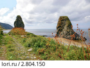 Скалистое побережье острова Кунашир, Курильская гряда, Южно-Курильский пролив. Редакционное фото, фотограф RedTC / Фотобанк Лори