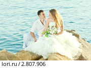 Молодожены. Стоковое фото, фотограф Ольга Хорошунова / Фотобанк Лори