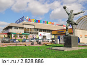 Памятник "Первый спутник". Станция метро "Рижская" (2010 год). Редакционное фото, фотограф Алёшина Оксана / Фотобанк Лори