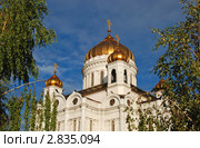 Москва. Храм Христа Спасителя (2011 год). Стоковое фото, фотограф lana1501 / Фотобанк Лори