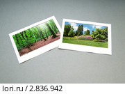 Фотографии природы в рамках на столе. Стоковое фото, фотограф Elnur / Фотобанк Лори