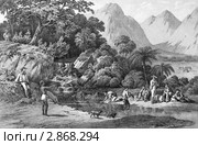 Деревня Канака, Бонинские острова, Япония. Стоковая иллюстрация, иллюстратор Georgios Kollidas / Фотобанк Лори