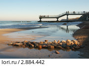 Берег Балтийского моря. Стоковое фото, фотограф Сергей Куров / Фотобанк Лори