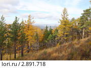 Горный осенний пейзаж. Стоковое фото, фотограф Виталий Горелов / Фотобанк Лори
