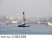 Палавучий кран в бухте Золотой Рог (2011 год). Редакционное фото, фотограф Сергеев Игорь / Фотобанк Лори