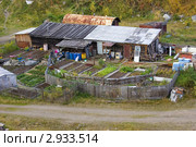 Огород и сараи, вид сверху. Стоковое фото, фотограф Наталия Шевченко / Фотобанк Лори