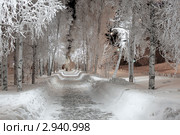Зимняя сказка. Пешеходная аллея в снегу. Стоковое фото, фотограф Константин Безденежных / Фотобанк Лори