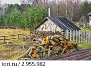 Осень в деревне. Смоленское Поозерье (2011 год). Редакционное фото, фотограф Михаил Широков / Фотобанк Лори