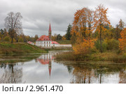 Гатчина. Вид на Приоратский замок (2011 год). Редакционное фото, фотограф Литвяк Игорь / Фотобанк Лори